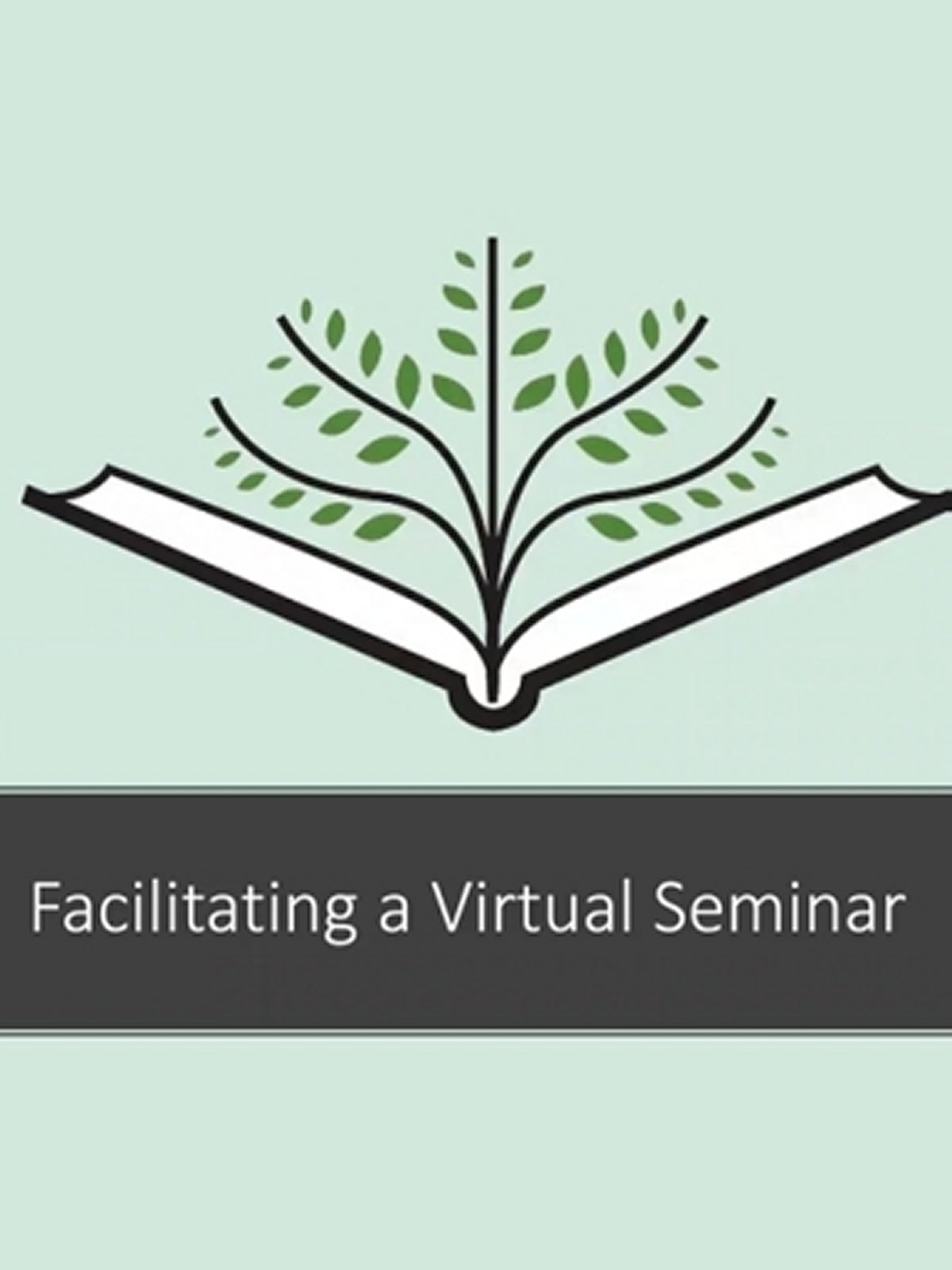 Facilitating a Virtual Seminar